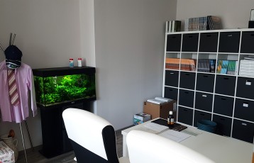 125 LITERES LOW TECH JAPÁN STÍLUSÚ AKVÁRIUM