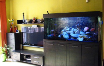 470 LITERES SÜGÉRES AKVÁRIUM EGY CSALÁDI HÁZBAN