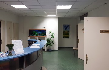 230 LITERES ÉDESVIZŰ AKVÁRIUM EGY MAGÁNRENDELŐ VÁRÓTERMÉBEN